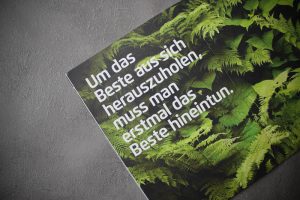 Unboxing TrendRaider | Blattgrün