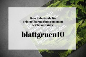 TrendRaider Unboxing | Blattgrün