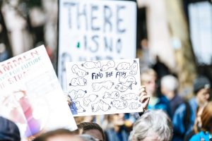 #klimaretten oder auch: 16 klimaschonende Tipps, die sich ganz einfach umsetzen lassen | Blattgrün