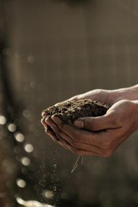 Der Klimawandel auf unseren Tellern oder auch: Lebensmittel in der Krise | Blattgrün