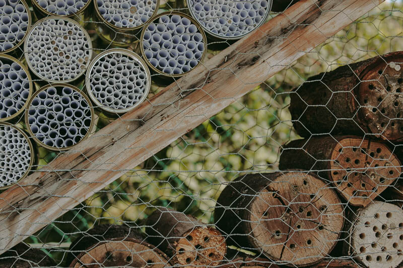 Tag der Artenvielfalt: 13 Tipps für nachhaltige Biodiversität {Werbung} | blattgrün