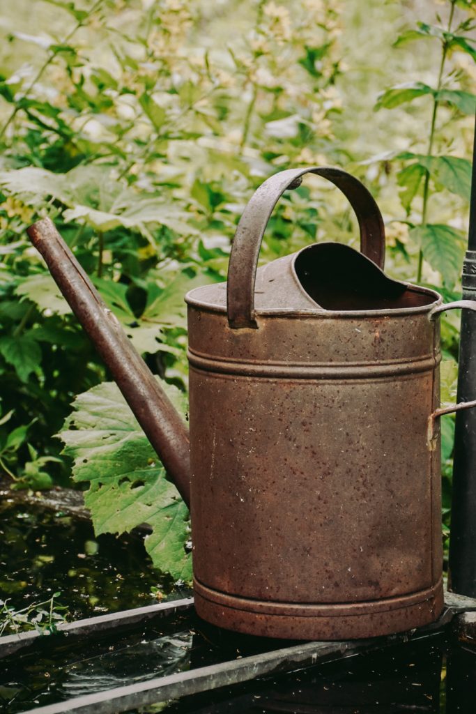 10 Tipps für einen klimafreundlichen Balkongarten | blattgrün