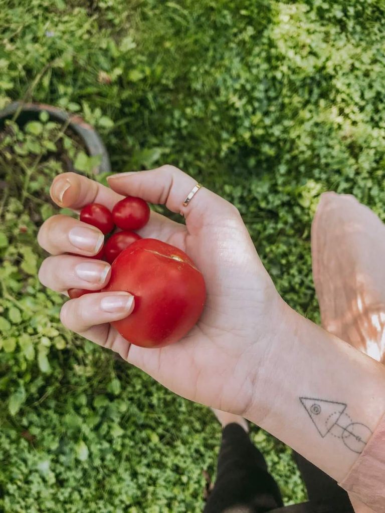 10 Tipps für einen klimafreundlichen Balkongarten | blattgrün