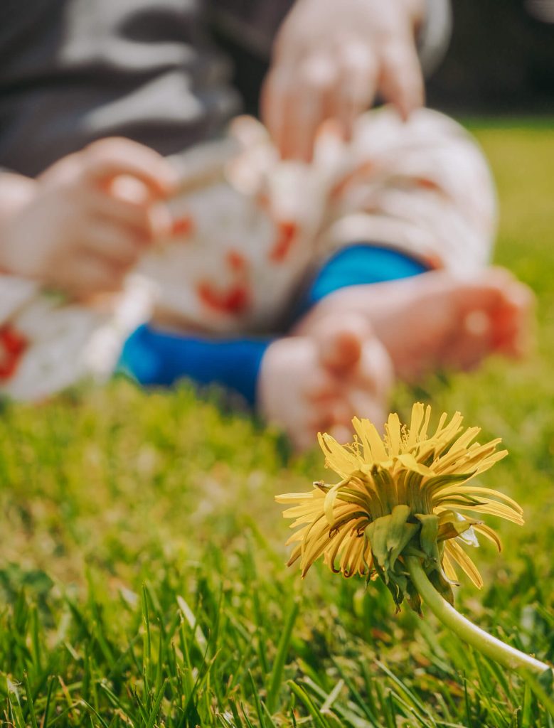 Nachhaltigkeit als Familienprojekt: Green Parenting und die liebe Perfektion | blattgruen.blog