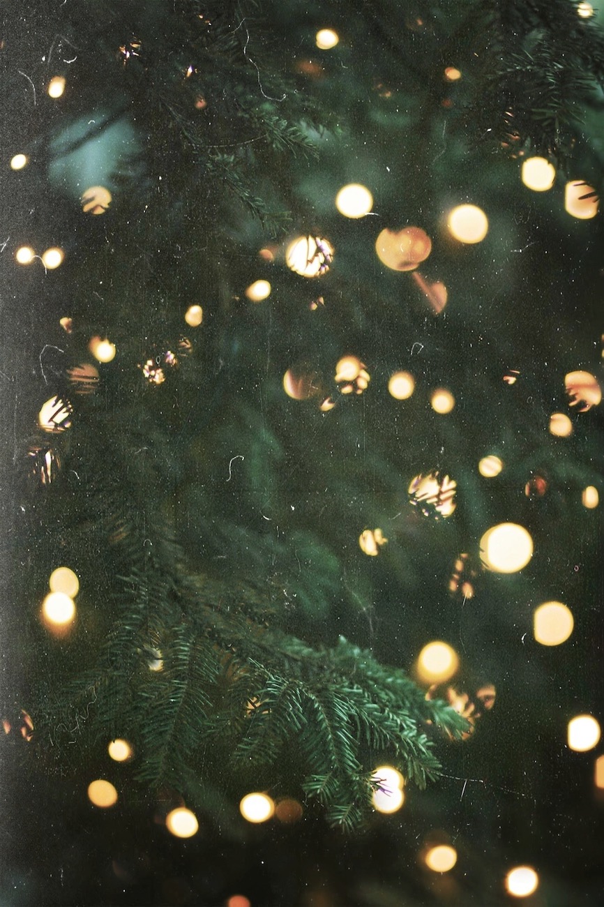 Weihnachtsgrüße aus dem Archiv | blattgrün